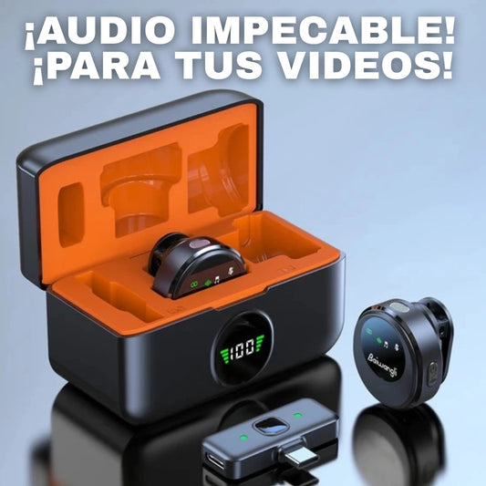 Microfono Inalambrico SX29